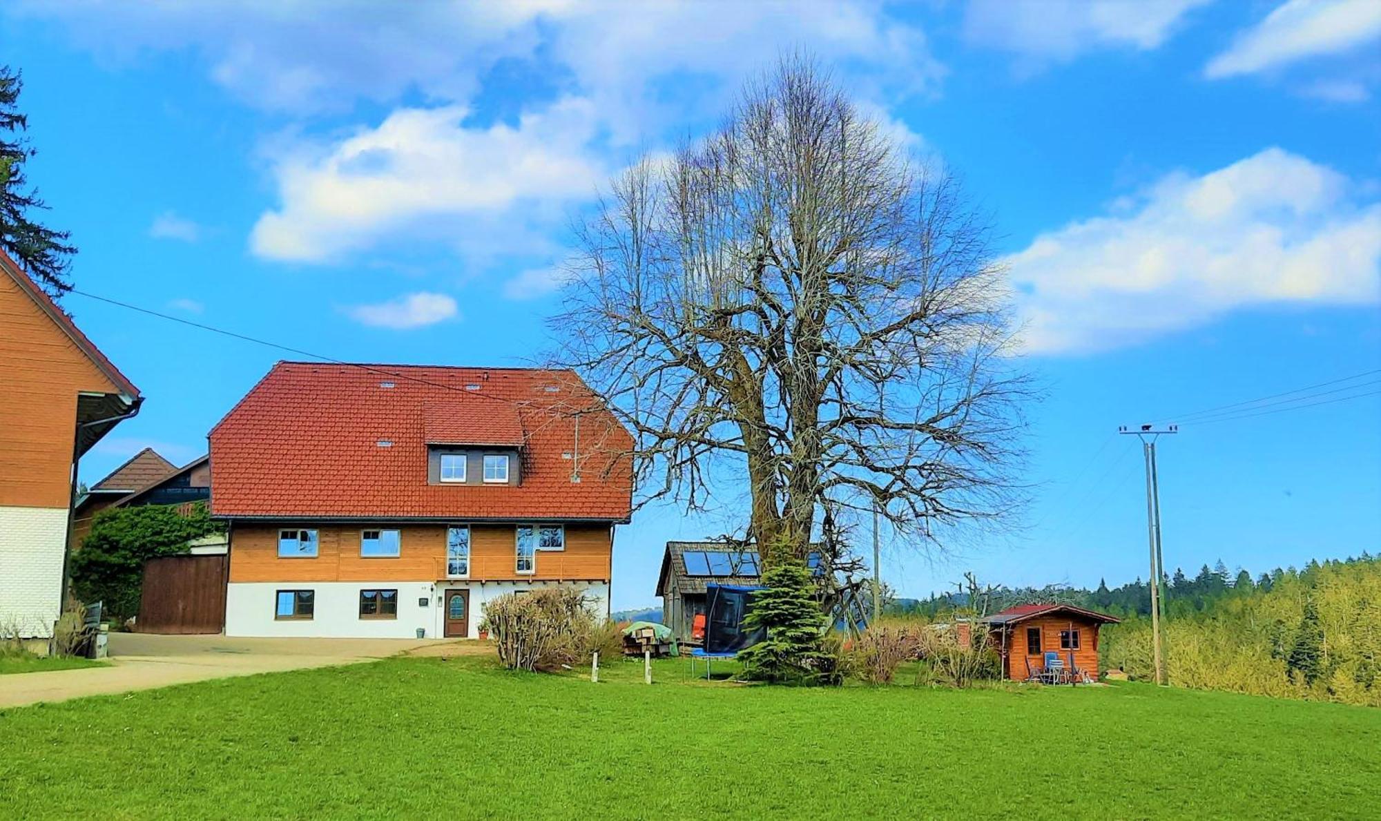 Suessen Haeusle Apartment Breitnau Exterior foto